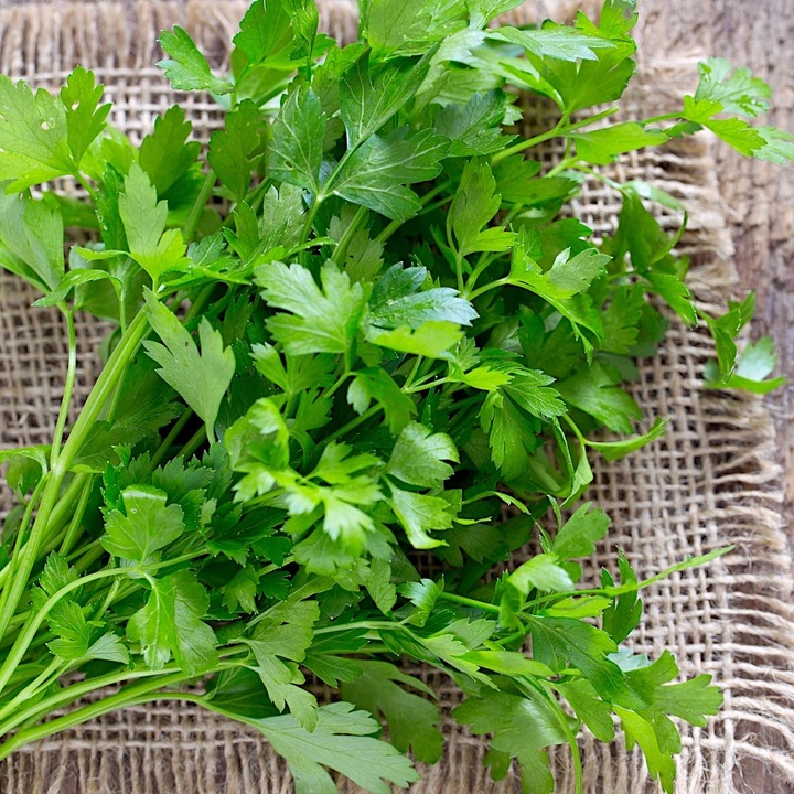 Seminte de patrunjel naciov Gigante d'Italia, 100g, PlantiCo, aromat, pentru consum direct