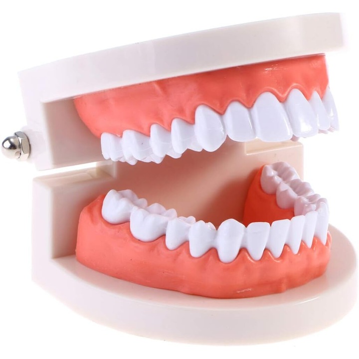 Oktató játék fogmosáshoz, Peysaitr, standard modell, PVC, többszínű