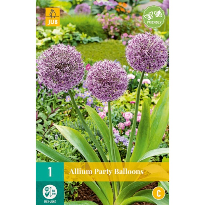 Bulbi, Allium Party Balloons, Jub Holland, 1 buc