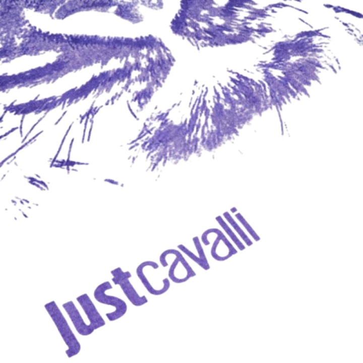 Плажна кърпа Just Cavalli, 167/92