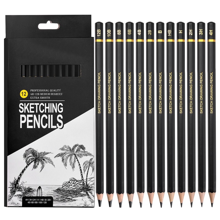 Set Arta Creioane Grafit, Axroad Mall, 12 buc, 4H 3H 2H H HB B 2B 4B 6B 8B 10B 12B, Hexagonal, Usor de ascutit si sters, Pentru pictura, schita, colorare, graffiti si adaugare de texturi, Lemn, 22 x 10.5cm, Negru