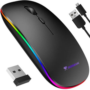 Mouse