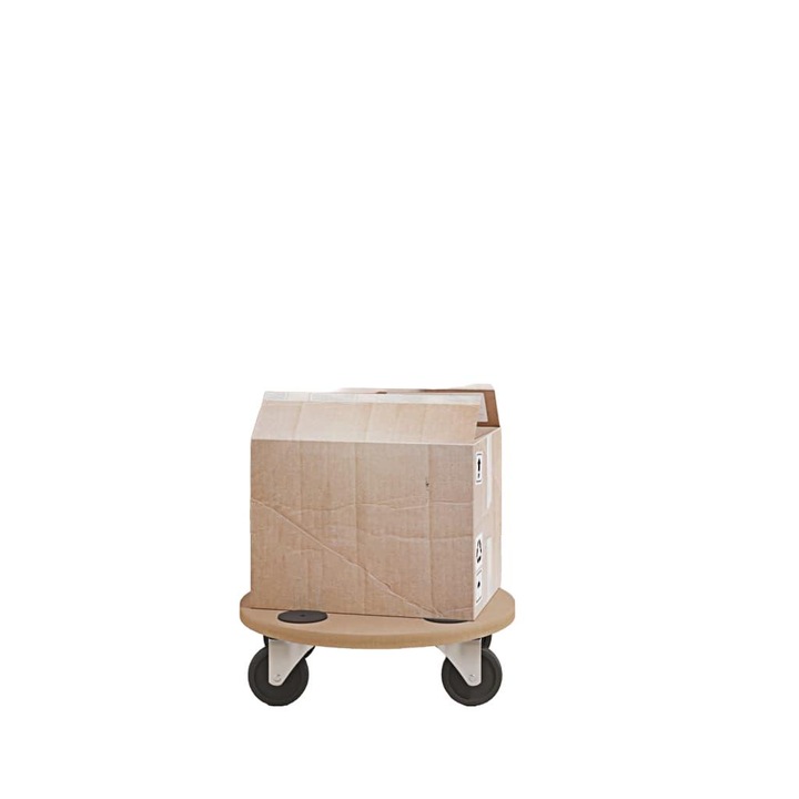 Trailer pentru transport, VidaXL ,6 bucati, lemn prelucrat, 38x18cm, 250kg