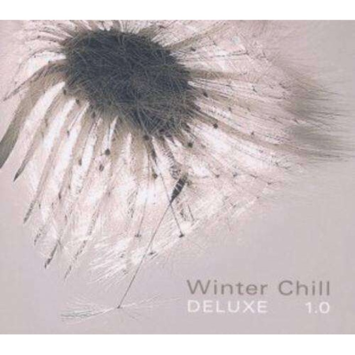 Artisti Diversi - Winter Chill Deluxe1.0 (CD)