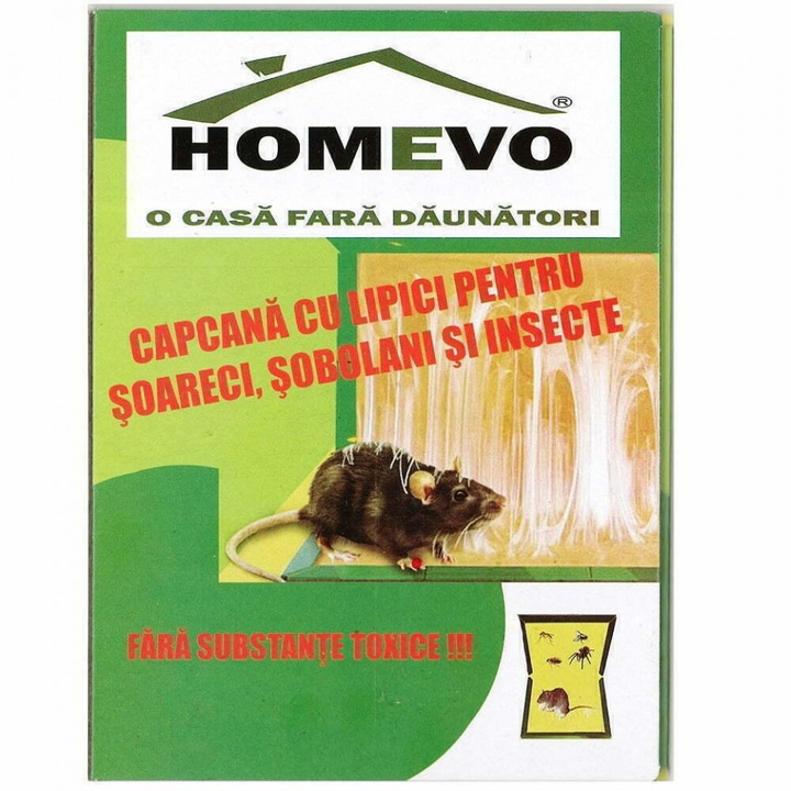 Ragasztó csapda kartonon Homevo rágcsálóknak