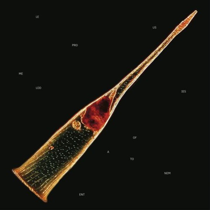 Leprous - Melodies Of Atonement (2LP)