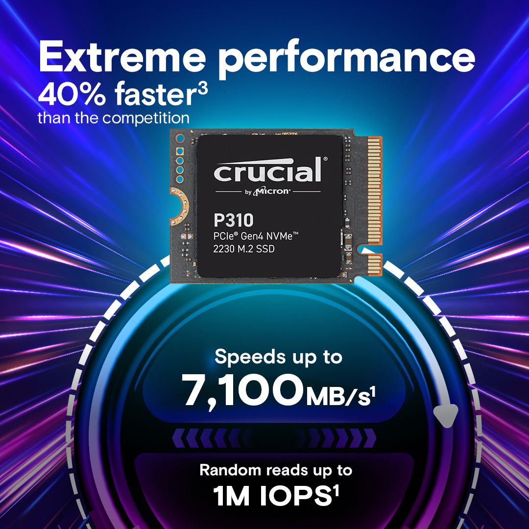 SSD P310, 1TB, PCI Express 4.0 x4, M.2 2230 