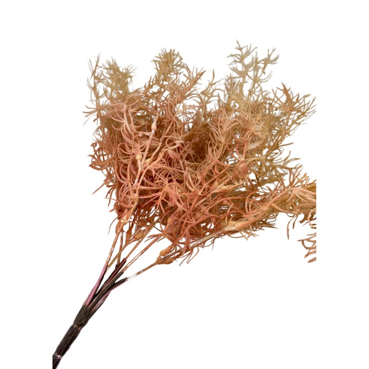 Szárazvirág hatású aszparágusz csokor - púder 2035PUD