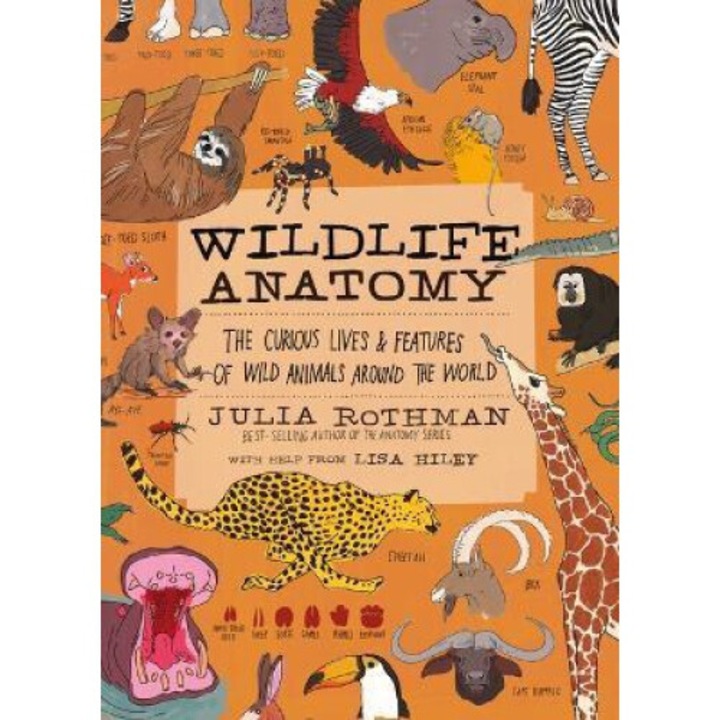 Wildlife Anatomy: The Curious Lives & Features Of Wild Animals Around The World - Julia Rothman