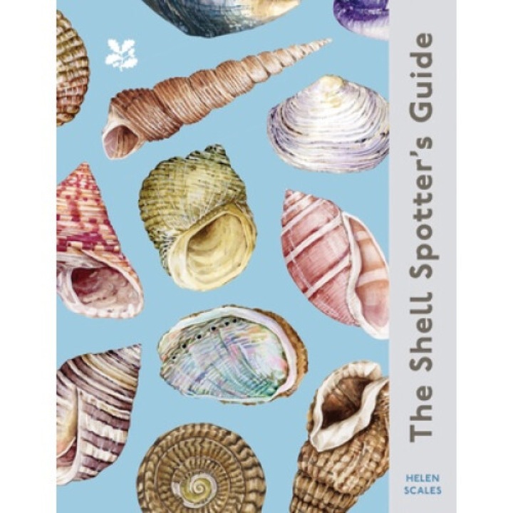 The Shell-spotter's Guide - Helen Scales