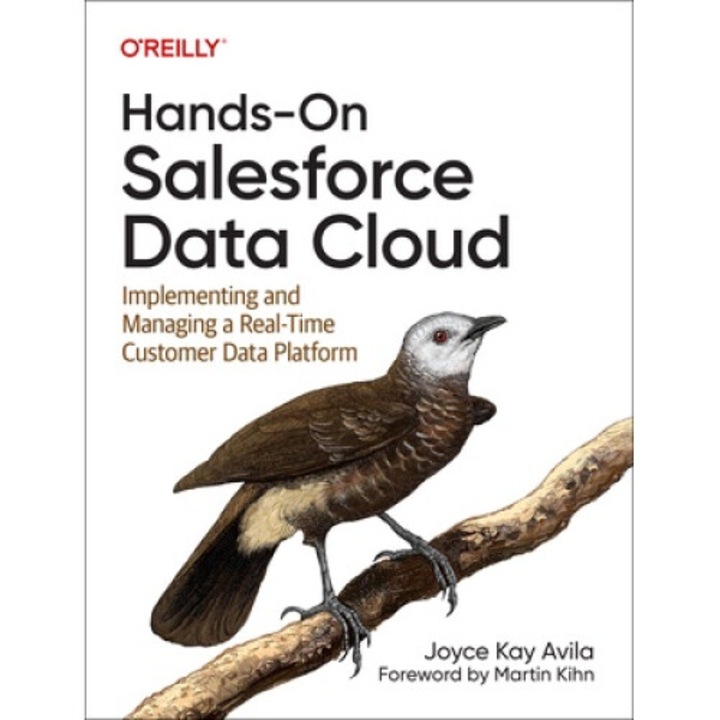Hands-on Salesforce Data Cloud: Implementing And Managing A Real-time Customer Data Platform - Joyce Kay Avila