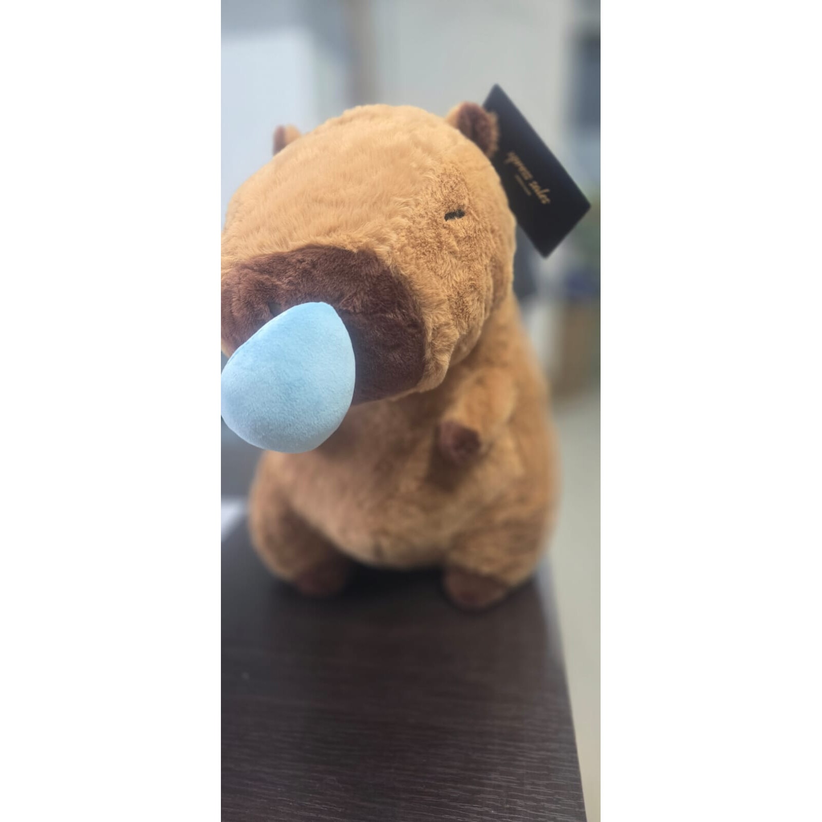 Capybara Plush XPRESS SALES®, 70 cm - eMAG.ro