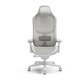 Fractal Design Refine Mesh Light Gaming Chair (FD-CH-RE1M-02) Grey Dehis