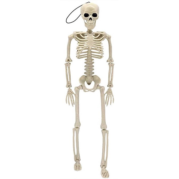 Хелоуин декорация, Gigicial, човешки скелет, реалистичен външен вид, компактни размери, бяло
