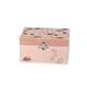 Cutie muzicala Ladybug, Egmont Toys, +3 ani