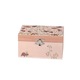 Cutie muzicala Ladybug, Egmont Toys, +3 ani