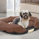 Pat Pentru Caine, Edanti, 100X75 Cm, Impermeabil, Spatiu Pentru Nume, Maro