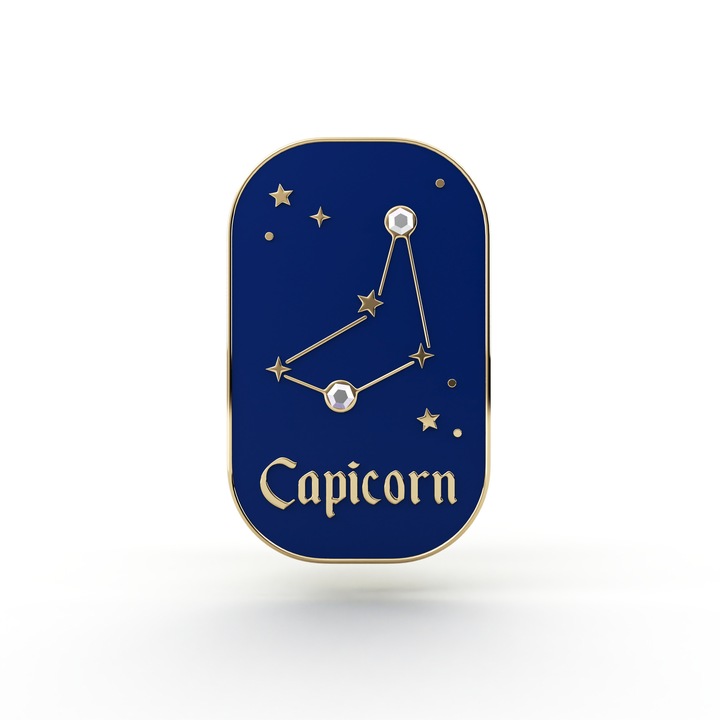 Brosa, Pinets, B1244, Horoscop, Capicorn, 14K aur