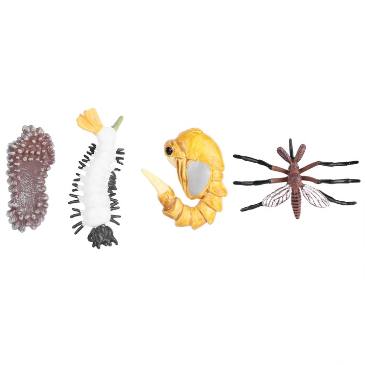 Фигурка от жизнения цикъл на насекомо, longziming, модел на развитие на мравка и комар, винилов материал, 31.6 гр.