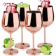 Set 4 Pahare Vin, JFYU, Fara Bisfenol A, Fabricate Din Otel Inoxidabil Rezistent, Capacitate 500 ml, H 20.5 cm, Ideal Pentru Activitati in Aer Liber, Mese de familie, Aur Roz