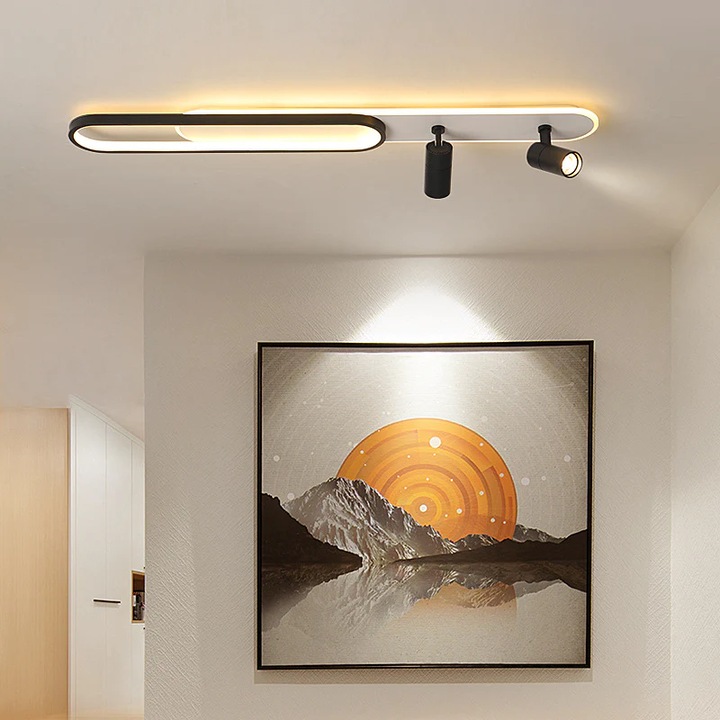 Aplica LED cu 3 funtii, 98W, lumina calda/rece/naturala, negru, LED CONCEPT, LC-R-B106-100