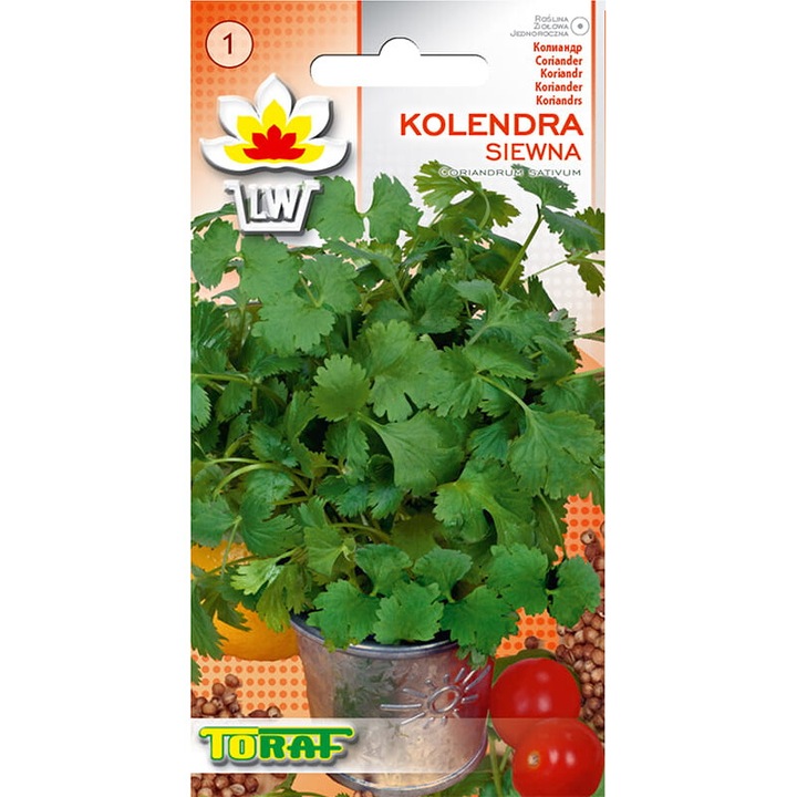 Seminte de gradina, Seminte coriandru TORAF, 2g, calitate superioara, seminte premium, seminte de top