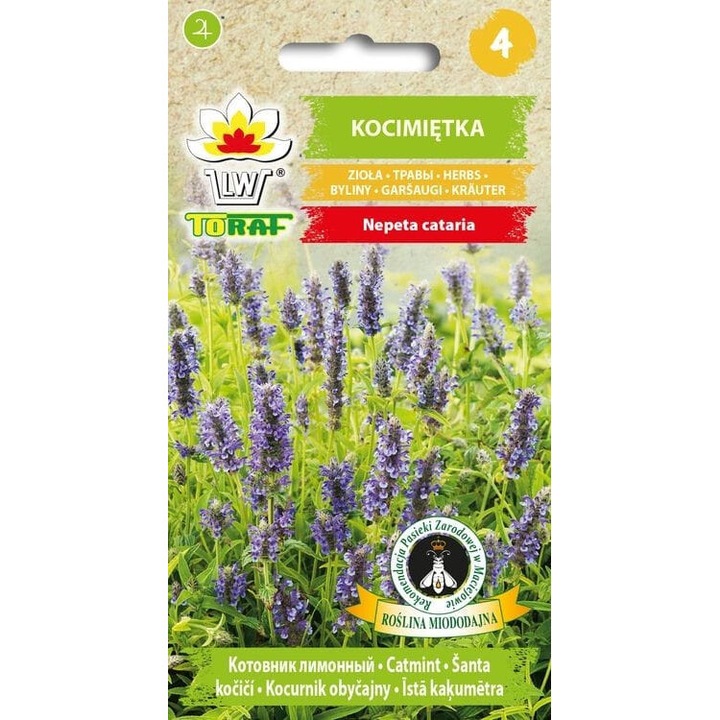 Семена от котешка билка, сини цветове, 40-60см, 0,5гр