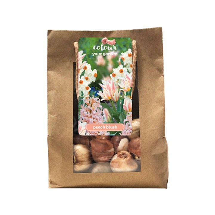 Bulbi de primavara Colour your Garden Peach Blush, Jub Holland, 25 buc