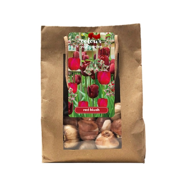 Bulbi de primavara Colour your Garden Red Blush, Jub Holland, 25 buc