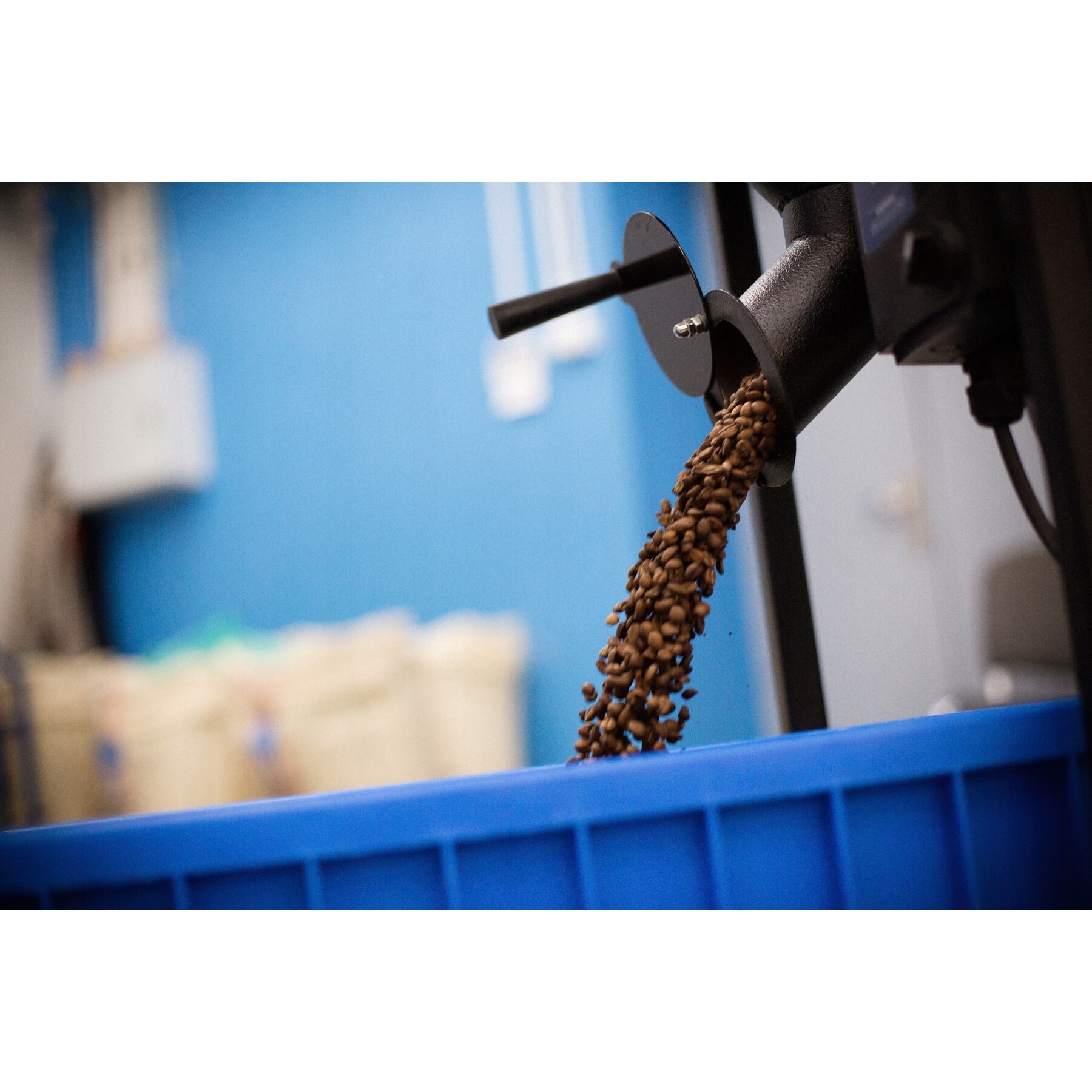 Cafea boabe Specialitate Arabica MIX 3x340g Blue Drop - eMAG.ro