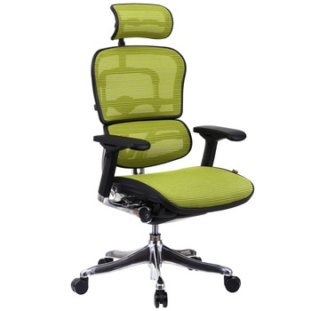 Scaun QMOBILI Ergohuman v2 Plus Elite, mesh 3D Verde deschis, cu tetiera 2D, suport lombar, brate reglabile 4D, sezut translabil Scaun QMOBILI Ergohuman v2 Plus Elite, mesh 3D Verde deschis, cu tetiera 2D, suport lombar, brate reglabile 4D, sezut translabil