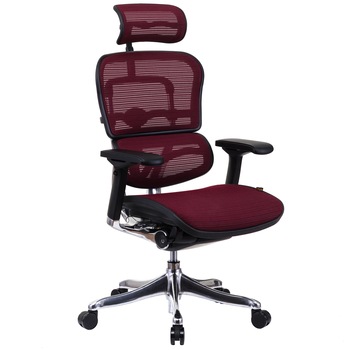 Scaun QMOBILI Ergohuman v2 Plus Elite, mesh 3D Bordo, cu tetiera 2D, suport lombar, brate reglabile 4D, sezut translabil Scaun QMOBILI Ergohuman v2 Plus Elite, mesh 3D Bordo, cu tetiera 2D, suport lombar, brate reglabile 4D, sezut translabil