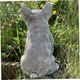 Statuie caine, longziming, Bulldog Francez, Beton, Gri