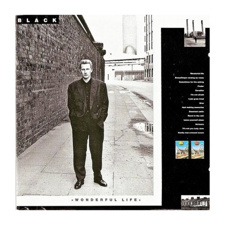 Black-Wonderful Life-CD - eMAG.ro