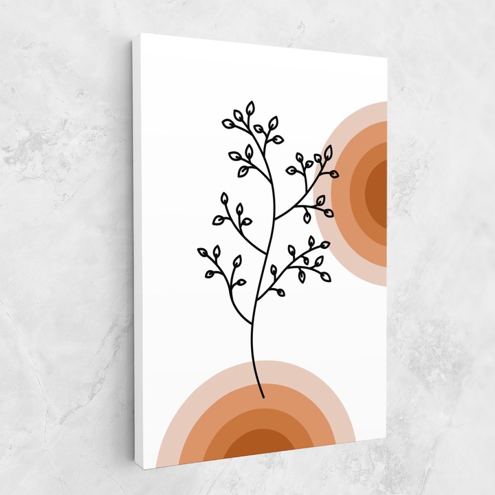 Tablou Canvas, 40x60 cm, Dormitor si Living, Abstracte, Minimaliste, Plant Orange Circle