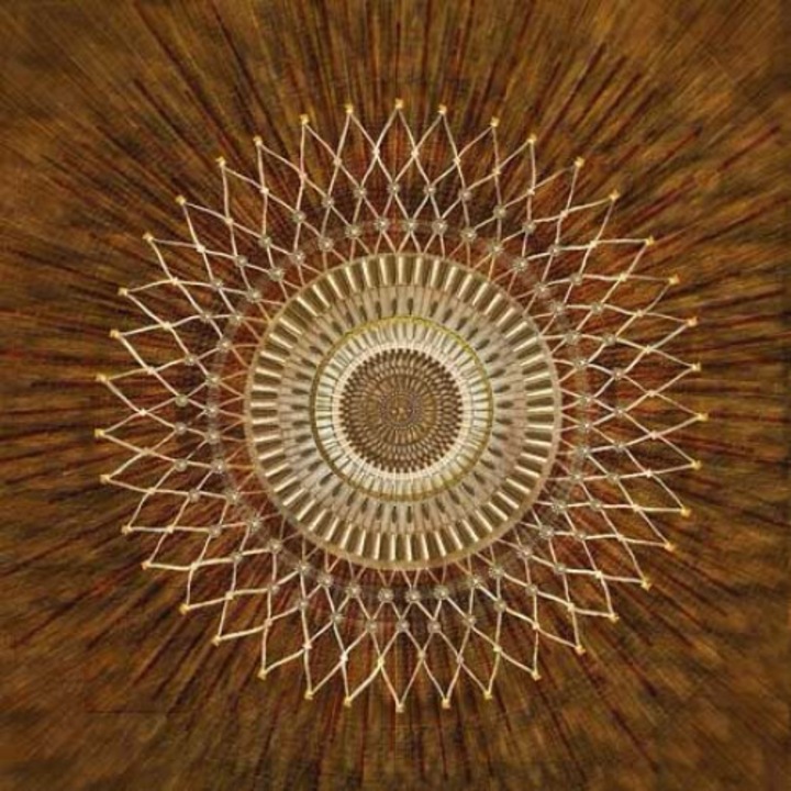 Tablou pe panza anason stelat, 80×80 cm