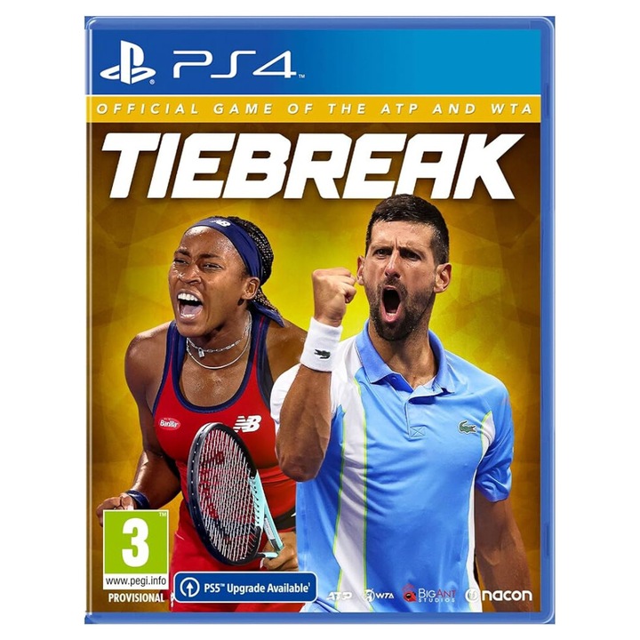 Tiebreak: The Official Game of the ATP and WTA (PS4) játékszoftver