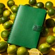 Agenda Olby, piele PU, format A5, verde, Unika