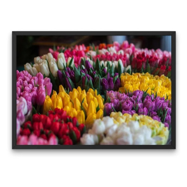 Tablou Canvas, Splendoare de Lalele, Explosion Coloristica, Decor pentru Casa Vibrant, 80x120cm, panza cu sasiu din lemn gata de agatat decor pentru living sau dormitor