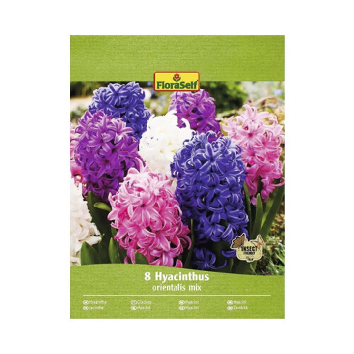 Bulbi Zambila Floraself Mix 14/15 8 Buc