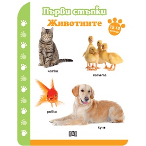 Извънкласни дейности