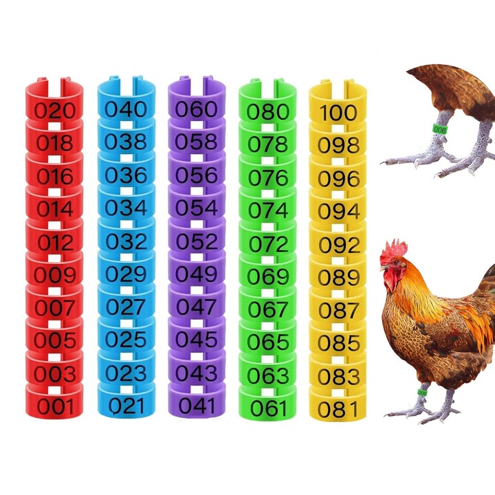 Set 100 Inel gaini, SINBINTA, Cu 1-100 numerotate, 1.6cm, Pentru pasari de curte in intervalul 0.5-2.5 kg, Reutilizabil, Nu este usor de spart, Usor de utilizat, Distingere rapida, Plastic, Multicolor