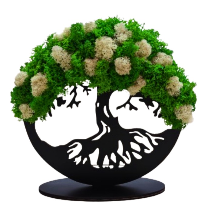 Tablou din lemn - Copacul vietii! - v6 decorat cu licheni stabilizati verde deschis-alb, diametru 20 cm, neagra