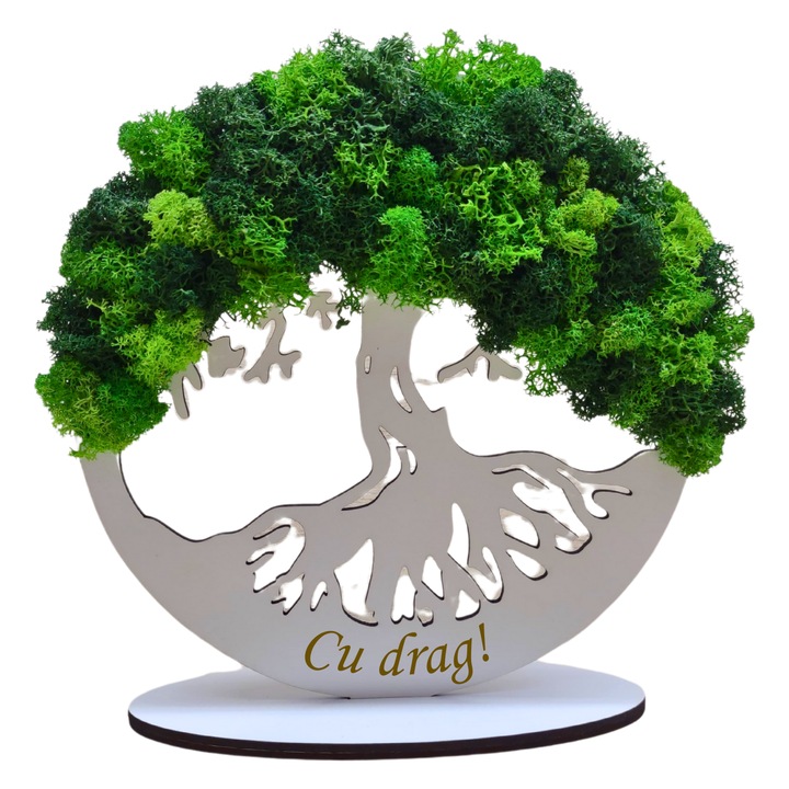 Tablou din lemn - Cu drag! - v2 decorat cu licheni stabilizati verde deschis-verde inchis, diametru 20 cm, alb