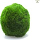 Set 4 plante acvatice vii pentru acvarii, verde, 4 cm
