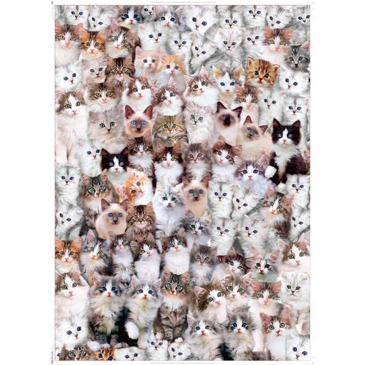 Puzzle 1000 piese, Cat World, 70x50cm