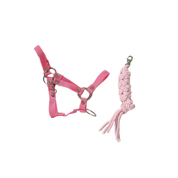 Hobby Horse szett, rózsaszín, 1,5x73 cm