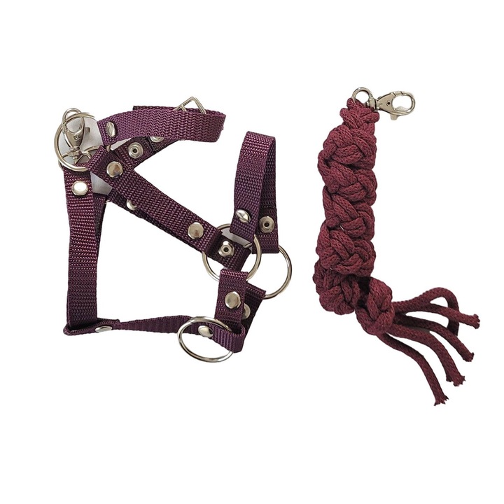 Set Hobby Horse, 1,5cm, 73cm, mov