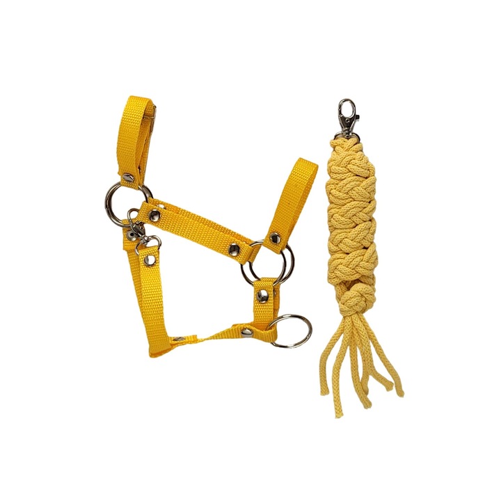 Set Hobby Horse, 73cm, galben