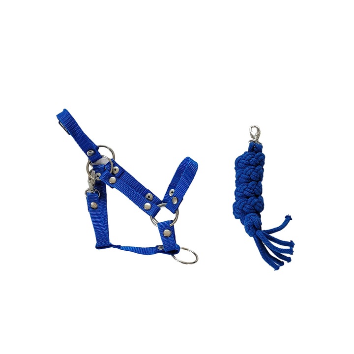 Set Hobby Horse, 73cm, 1,5cm, albastru